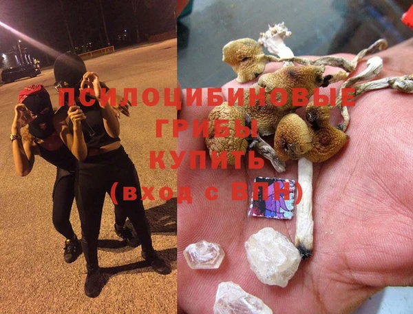 прущий лед Вязьма