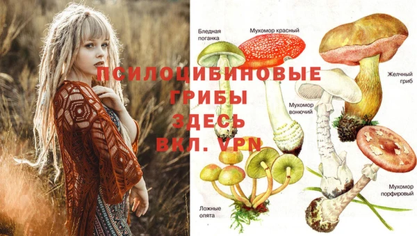 альфа пвп Кукмор