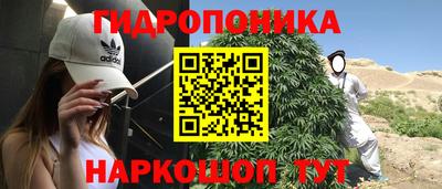 амфетамин Гай