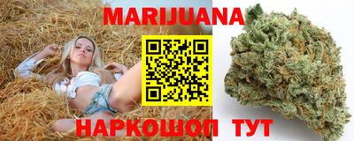гидропоника Гагарин