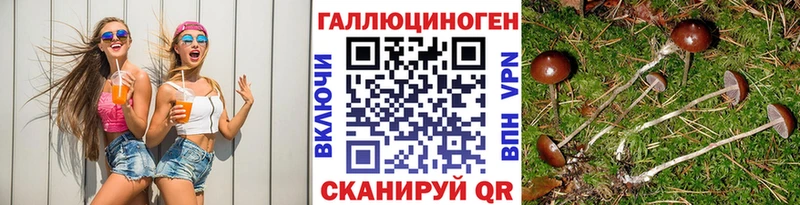 Галлюциногенные грибы Psilocybine cubensis  mega рабочий сайт  Дюртюли  магазин   