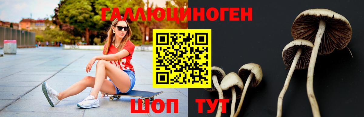 Дюртюли  Псилоцибиновые грибы ЛСД  Вход с VPN 